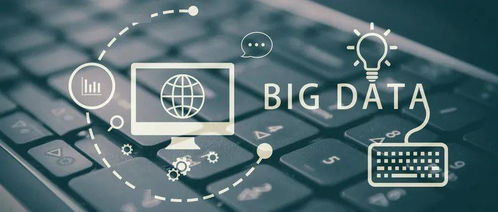 零基础学习大数据开发 挑战与路径解析